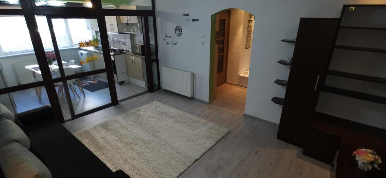 Ana Lux Apartments Brašov Exteriér fotografie
